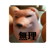 845646747