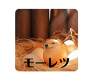 845646748