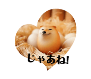 845646752