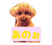 845647193