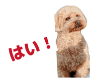 845647196