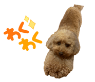 845647200