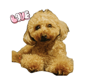 845647205