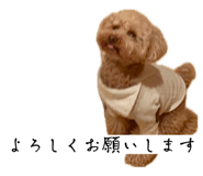 845647207