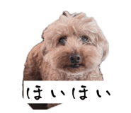 845647208