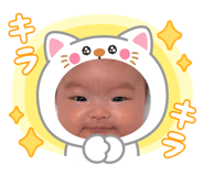 845647244