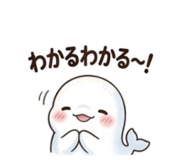 845647250