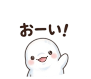 845647254