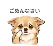 845647342