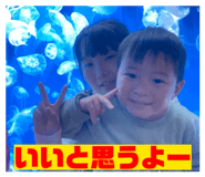 845647462