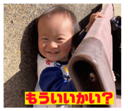 845647465