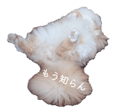 845647510