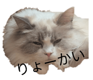 845647519