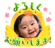 845647610