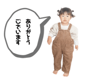 845647758