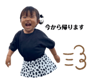 845647761