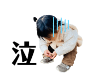 845647778
