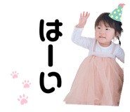 845647782
