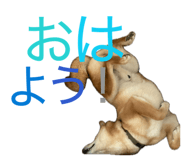 845647785