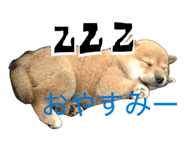 845647786
