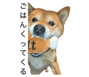 845647787
