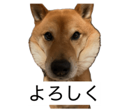 845647790