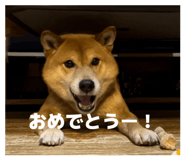 845647791