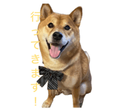 845647794