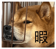 845647796