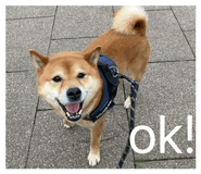 845647802