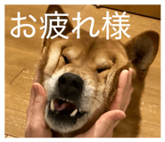 845647803