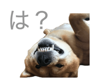 845647805