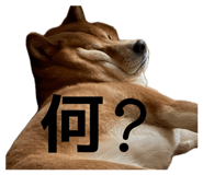 845647806