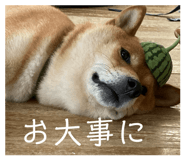 845647808