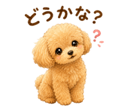 845648335