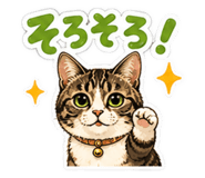 845648651
