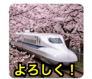 845648807