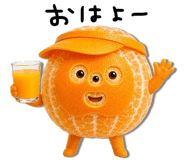 845649617