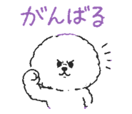 845649868