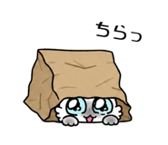 845650485