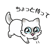 845650500