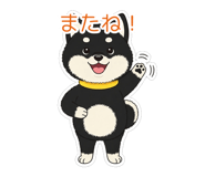 845651064