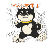 845651093