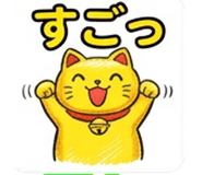 845651555