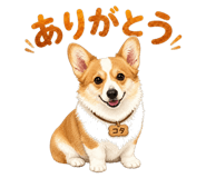 845651937