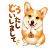 845651941