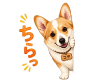 845651959