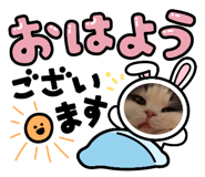 845653025