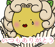 845653036