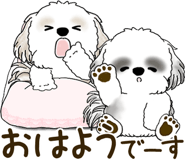845653625
